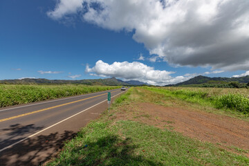 Maluhia Road, Kauai, Hawaii