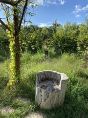 tabouret en bois dans le Parc Floral de la Roseraie de Poitiers