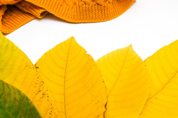 Obraz premium Yellow autumn leaves and knitted sweater as a fall background