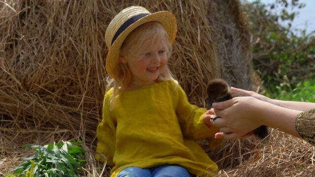 Cute little blond girl is looking at the little duckling at the woman's hands