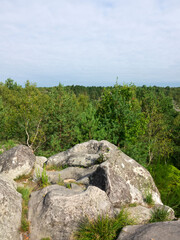 forêt de Fontainebleau