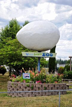 Winlock, Washington, USA: The World's Largest Egg. The Big Egg In Winlock, South Of Tacoma, Is Twelve Feet Long And Weighs 1,200 Pounds. On The Pedestal Is Written, 