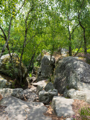 Rochers dans la for&ecirc;t de Fontainebleau