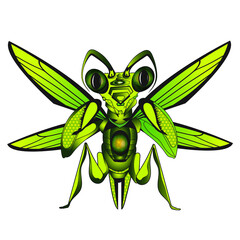 preying, mantes, insects, Arthropoda, etymology, praying, illustration, animal, isolated, mantis, insect, drawing, prayer-like, scientific