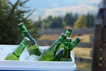 Cool box with bottles of beer in nature, closeup