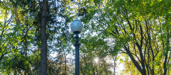 Street lantern on the summer foliage background. Sunshine. Nature concept.