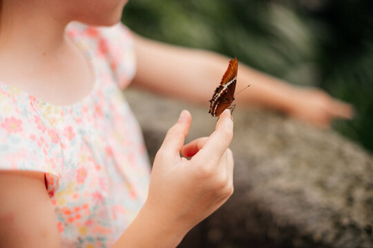 
Ein Schmetterling sitzt auf der Hand eines M&auml;dchens