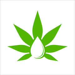 leaf with water drop