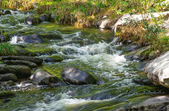an stream fowing through the wilderness of new england