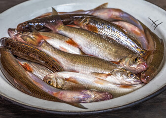 Fresh catch small river fish in an enamel plate