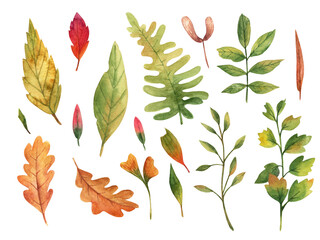 Autumn leaves in watercolor