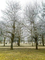 Public urban park in winter, with a strong frost that leaves it covered in white first thing in the morning