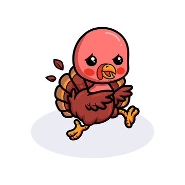 Cute baby turkey cartoon running
