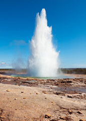 Geyser in national park in Iceland