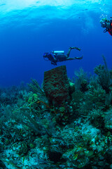 Divers swimming by a barrel sponge 