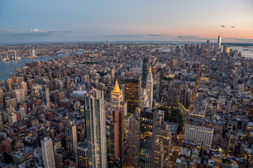 New York City Landscapes