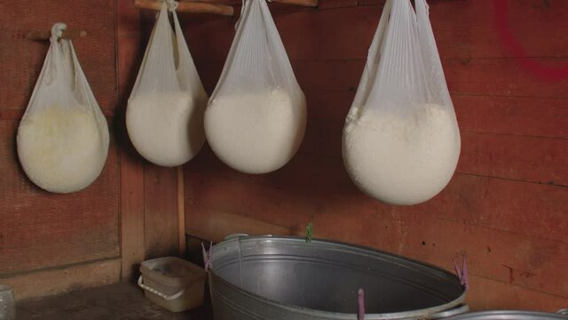An authentic cottage cheese recipe in an old village. Lactic acid starter culture helps set the milk into curd during farmhouse natural cheese-making. Indoor. White gauze bags hang on wooden sticks.