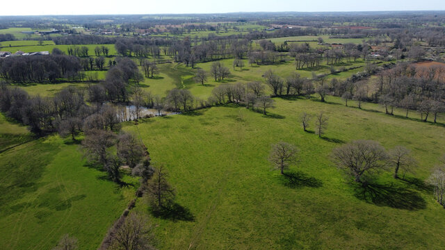 Aerial shot of leafless trees in the mountain highland