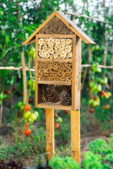 Insect hotel between the tomato beds gives protection and nesting aid to bees and other insects. High quality photo