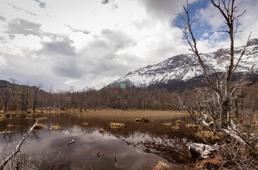 Mountain's reflection on the lake