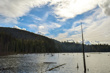 Bowen Island Marsh