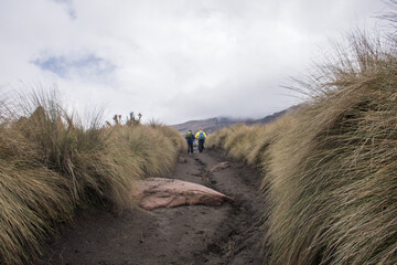 People walking on the path to the mountain