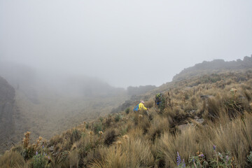 Mountaineers walking towards the hill