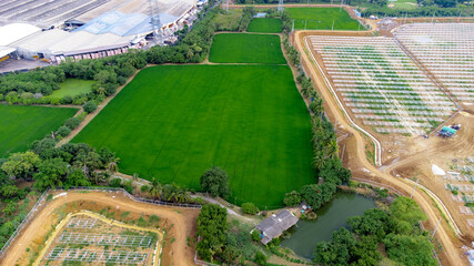 Green space of rice fields in the country site from aerial view.