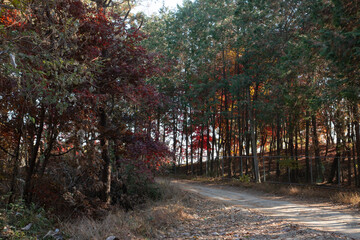 Autumn in Yeoju, Gyeonggi-do, Korea