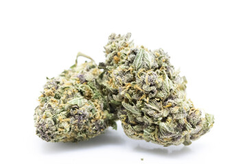 Double Purple - Cannabis 2 Buds