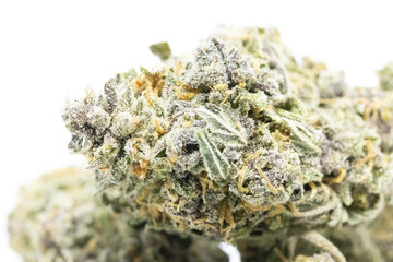 Double Purple - Cannabis Close Up
