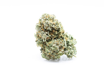 Bubba Kush - Cannabis Extra Large Bud