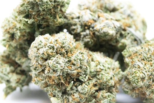 Bubba Kush - Cannabis Close Up