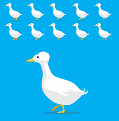 Animal Animation Sequence Crested Duck Cartoon Vector