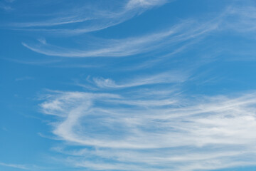 Whispy Horse Mane Clouds with Blue Skies