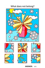 Visual puzzle with picture fragments. Winter holidays gift or present with beautiful bow. What does not belong?
