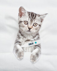 Sad sick kitten holds a thermometer under the paw lies under white warm blanket on a bed at home....