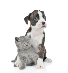 Friendly German Boxer puppy dog hugs tiny kitten. isolated on white background