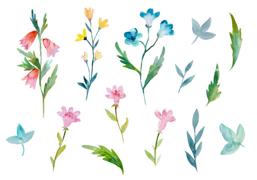 Set of delicate cute simple watercolor plants and flowers isolated on white background.