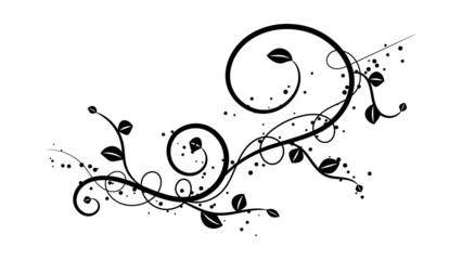 swirl floral ornament hand drawn isolated on white background for website or invitation card and vintage graphic design decoration