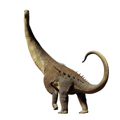 Titanosaurus, dinosaur from the Late Cretaceous period isolated on white background © dottedyeti