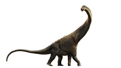 Foto op Plexiglas Dinosaurus Titanosaurus, dinosaur from the Late Cretaceous period isolated on white background