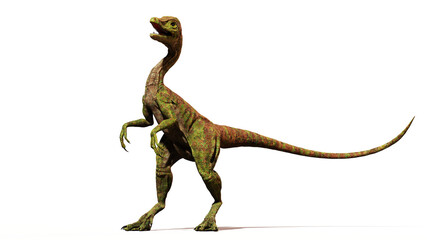 Compsognathus longipes attack, small dinosaur from the Late Jurassic period, isolated on white background © dottedyeti