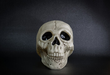 human skull black background, skull on black background, horror