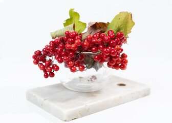 Red viburnum berries and a glass tea mug on a white background. Viburnum tea is a medicine for colds.