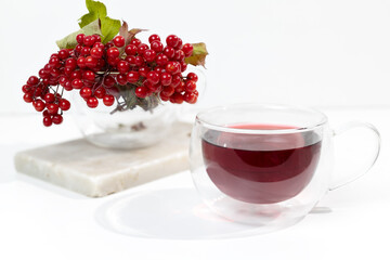 Red viburnum berries and a glass tea mug on a white background. Viburnum tea is a medicine for colds.