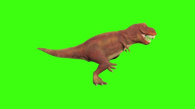 Model dinosaur dancing, animation, transparent background