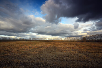 dramatic autumn landscape field sky abstract concept sadness