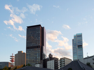 Fototapeta premium 東京の空と街並み