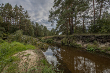 Fototapeta na wymiar Bright green grass in the foreground in a landscape with a river. Summer landscape with cloudy sky, old pine forest and river. Lots of juicy greens.